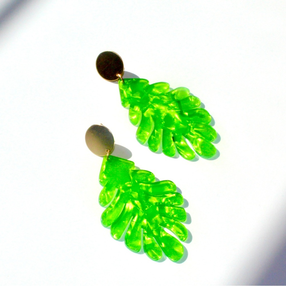 Fashion Earrings (New)